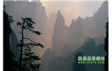 張家界國(guó)家森林公園、寶峰湖/黃龍洞、鳳凰古城、三峽八日游